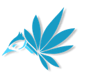 bluejay